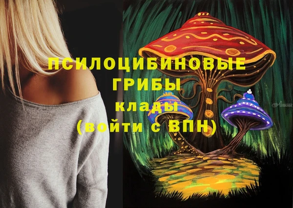 мяу мяу мука Покров