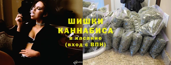 PSILOCYBIN Вязьма