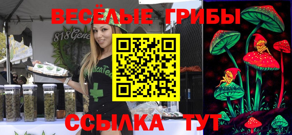 Галлюциногенные грибы мухоморы  Галлюциногенные грибы мухоморы  где купить наркоту  Тобольск 