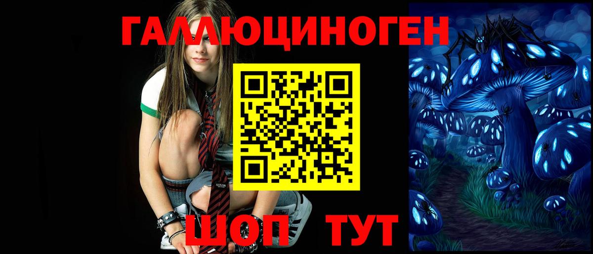 Псилоцибиновые грибы Psilocybine cubensis Тобольск